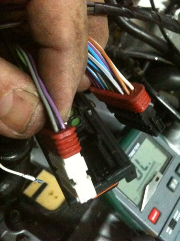 Coil Pack Harness CRACKED