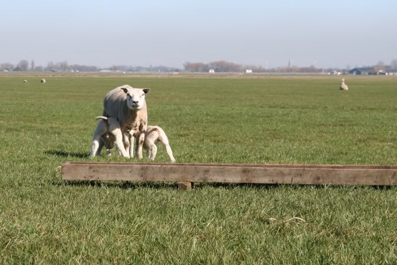 Fotografie