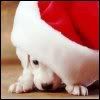 th_thsantapuppy.jpg