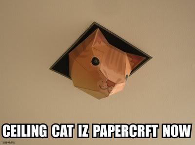 LOLCAT Ceiling Cat Pictures, Images and Photos