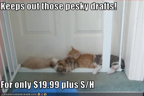 lolcats-your-kittens-keep-the-cold-.jpg