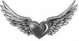 heart wings Pictures, Images and Photos