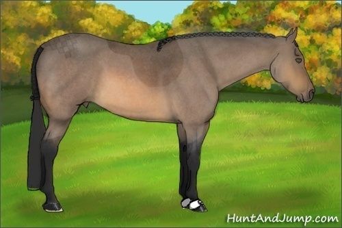 photo koda_zpsgjgcq9mg.jpg
