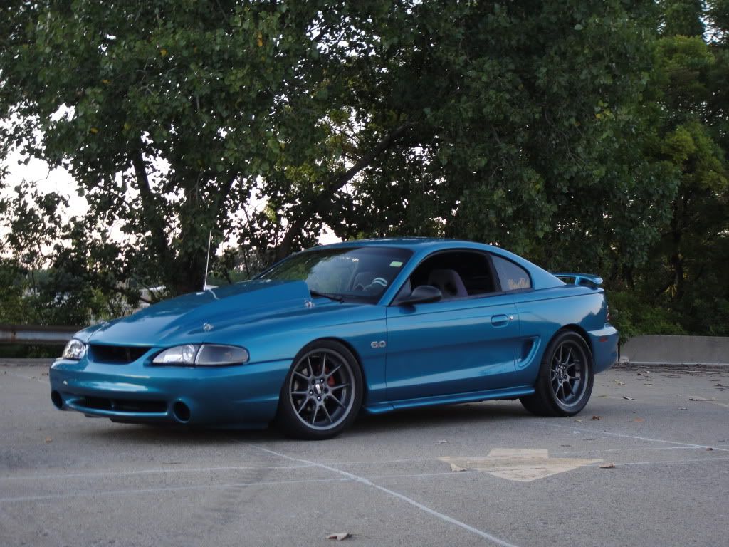 Teal Mustang Wheel Pics Ford Mustang Forums