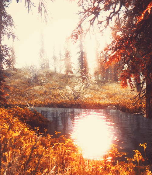 photo tumblr_n1d9s84aYK1qljgf8o1_500_zps5f68498f.gif