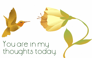In My Thoughts Hummingbird Pictures, Images and Photos