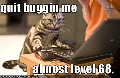 funny-pictures-your-cat-is-almost-level-68.jpg