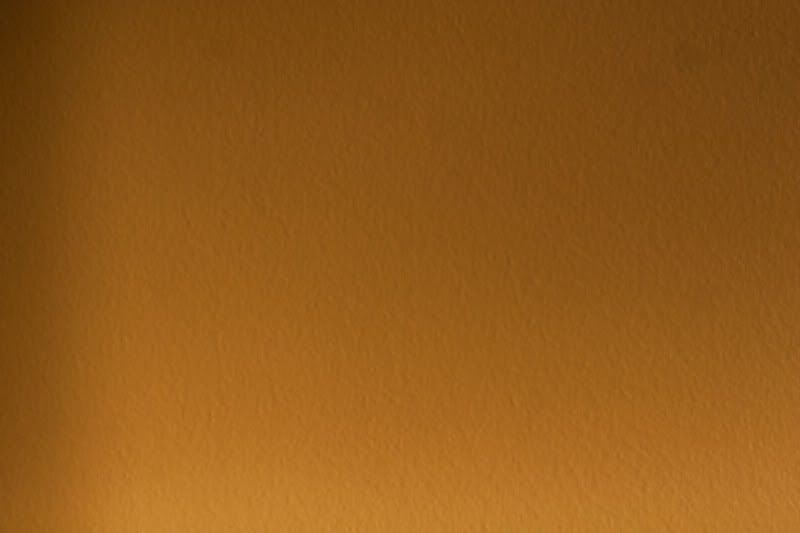 IMAGE: http://i76.photobucket.com/albums/j15/burd43/IMG_6976.jpg