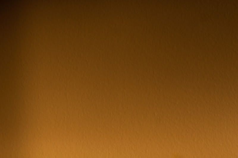 IMAGE: http://i76.photobucket.com/albums/j15/burd43/IMG_6977.jpg