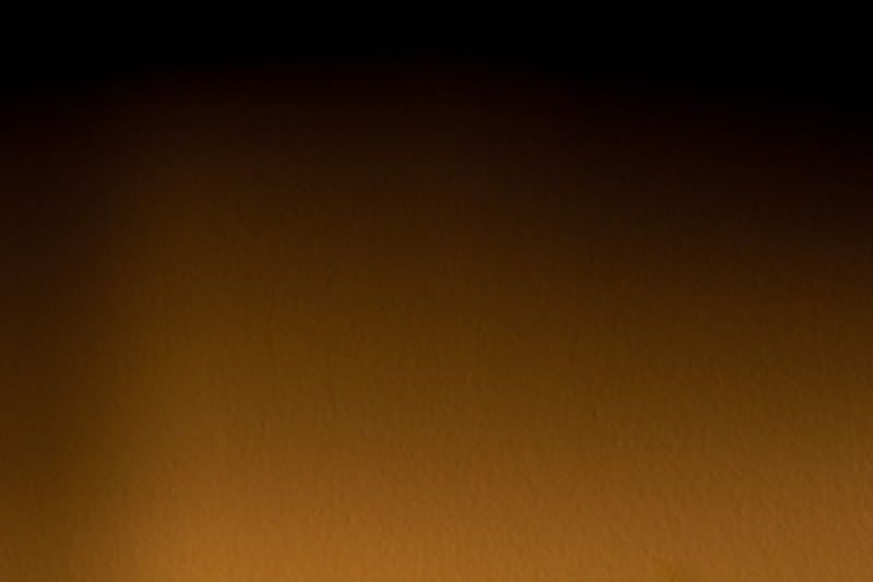 IMAGE: http://i76.photobucket.com/albums/j15/burd43/IMG_6978.jpg