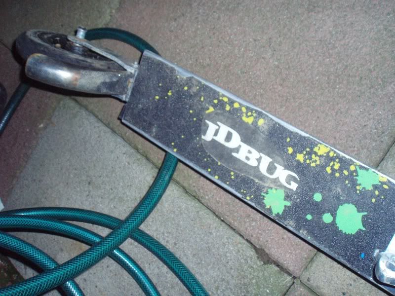 backofdirtscoot.jpg
