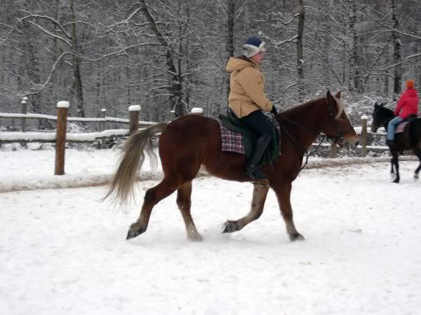 DSCN5978.jpg