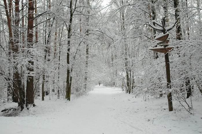 DSC_3109.jpg