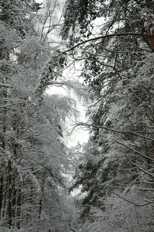DSC_3113.jpg