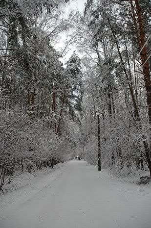 DSC_3114.jpg