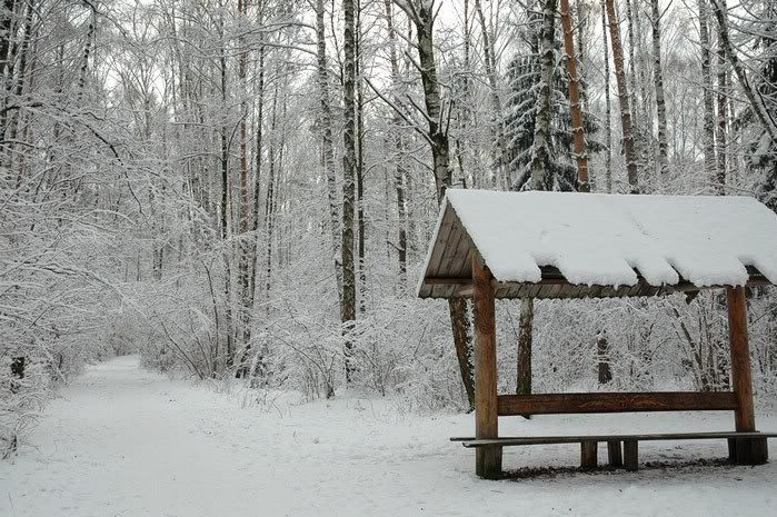 DSC_3118.jpg