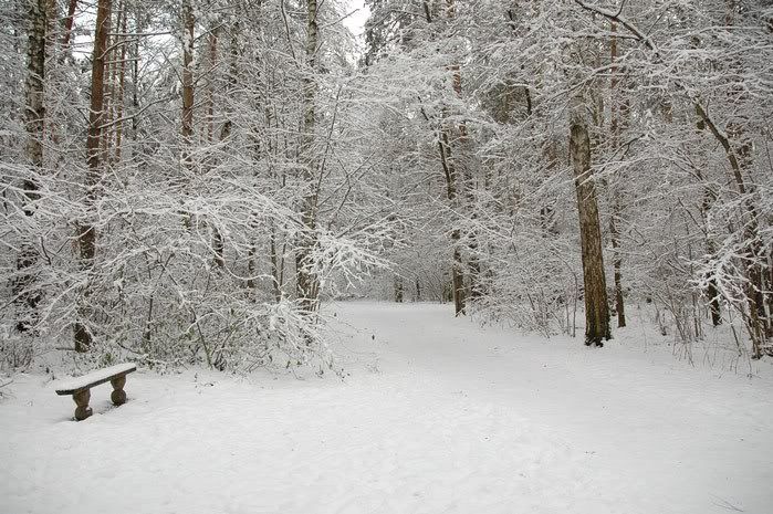 DSC_3122.jpg