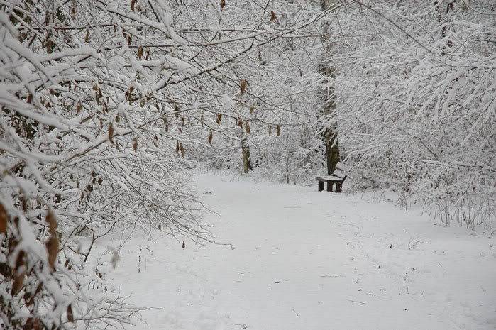 DSC_3126.jpg