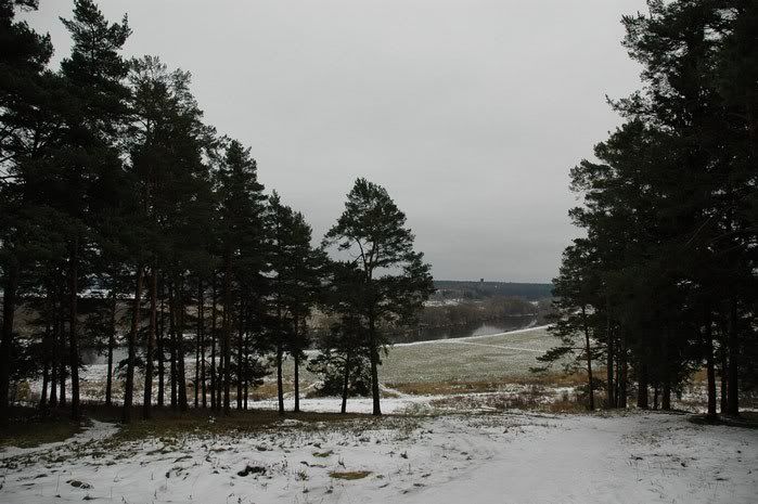 DSC_3150.jpg