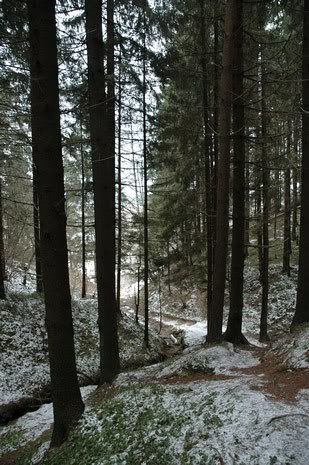 DSC_3192.jpg