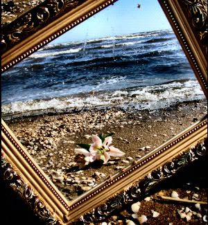 OceanMirror.jpg ocean mirror image by itsmeg72