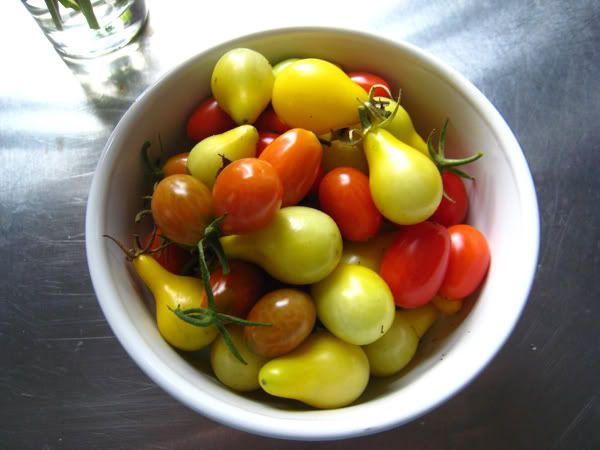 Multi-tomatoes