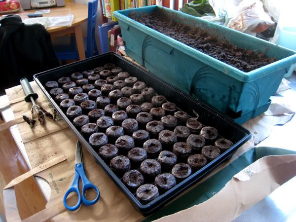 Sowing seeds