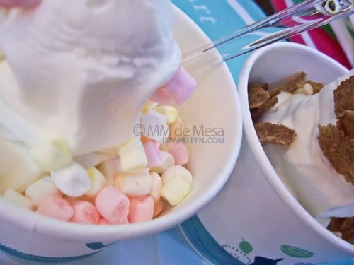 The White Hat Frozen Yogurt The White Hat Italian Frozen Yogurt
