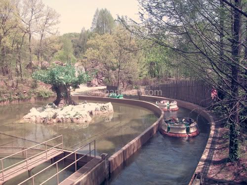 Somewhere in Zoo-topia Somewhere in Zoo-topia
