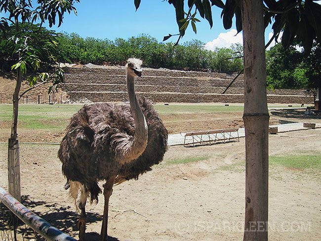 Ilocos Sur Baluarte Philippines