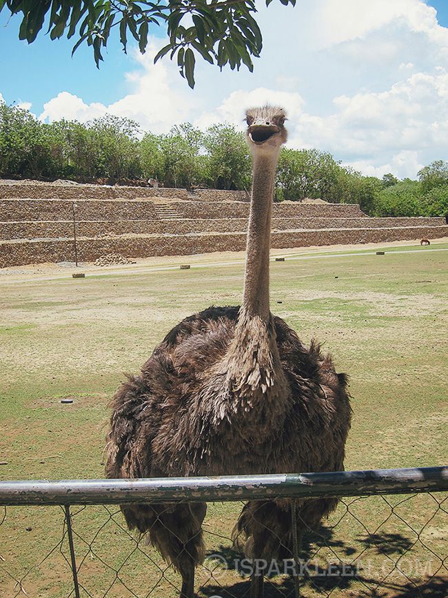 Ilocos Sur Baluarte Philippines