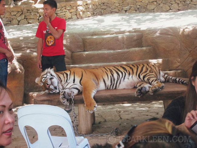 Ilocos Sur Baluarte Philippines