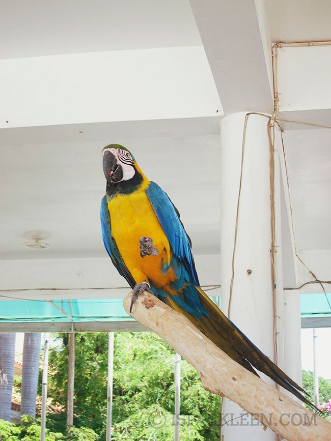 Ilocos Sur Baluarte Philippines