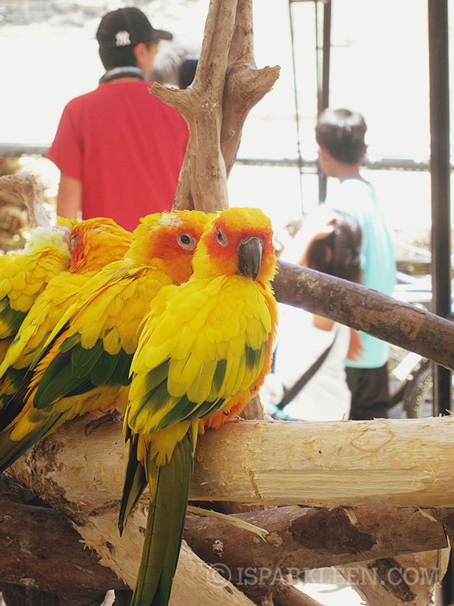 Ilocos Sur Baluarte Philippines