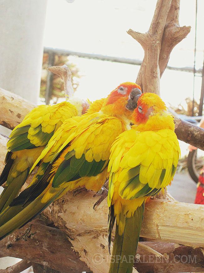 Ilocos Sur Baluarte Philippines