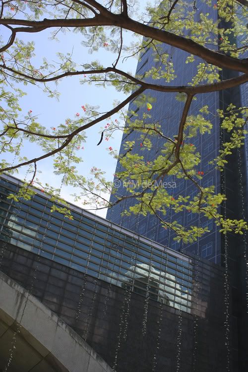 I Heart Makati-Cherry Blossoms I Heart Makati-Cherry Blossoms
