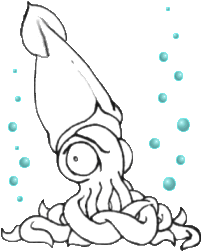 Not your average squid Not your average squid