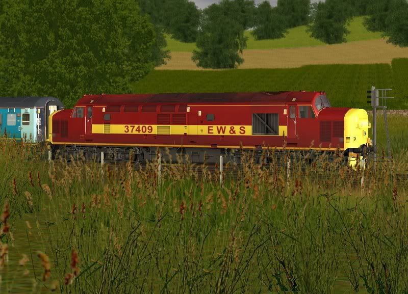 37witharriva.jpg