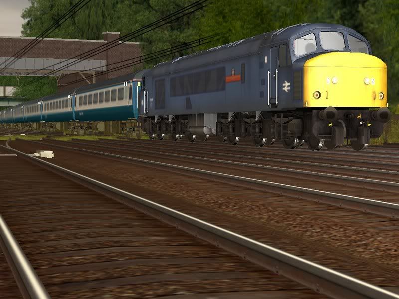 Screen_138.jpg