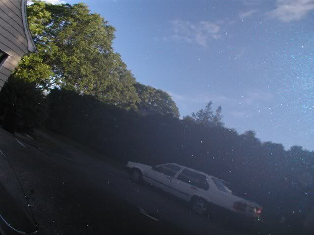 mdx1.jpg