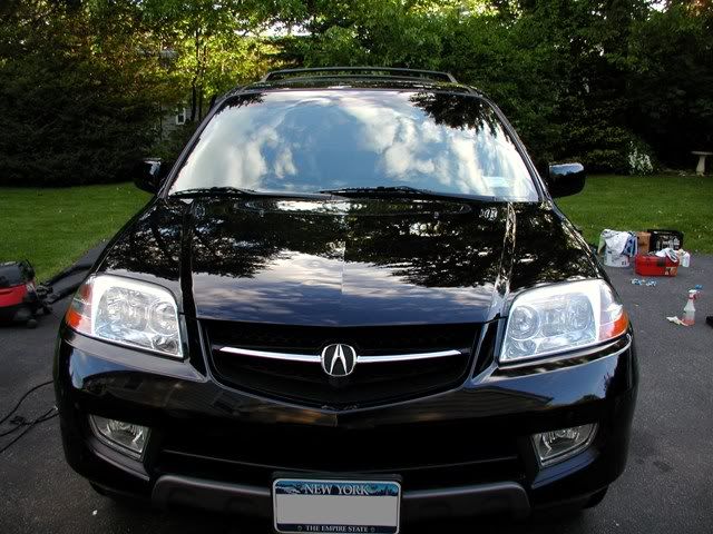 mdx4.jpg