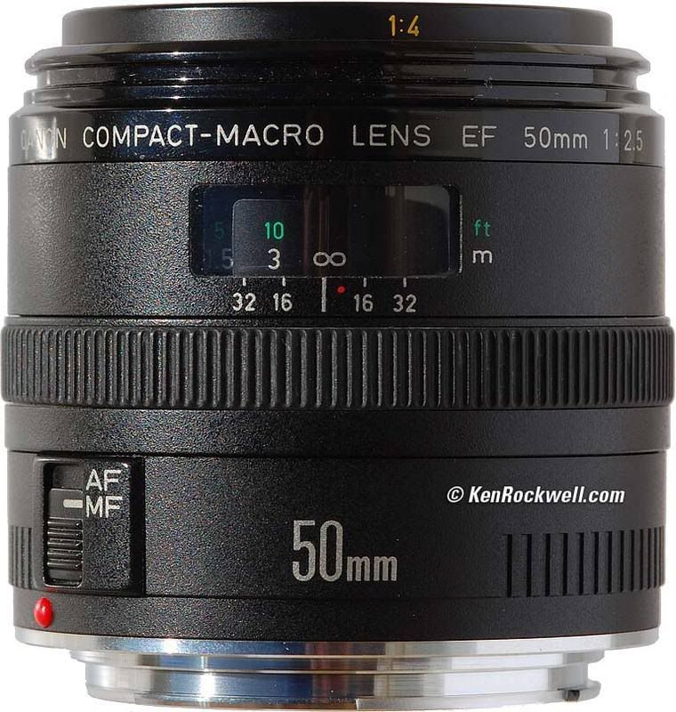 50mm-macro-DSC_1356-768.jpg