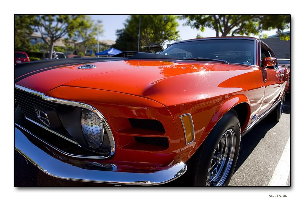 IMAGE: http://i76.photobucket.com/albums/j2/stuman16/cars/Stang1.jpg