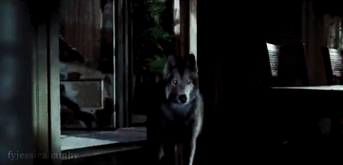 TB-jessica Pictures, Images and Photos