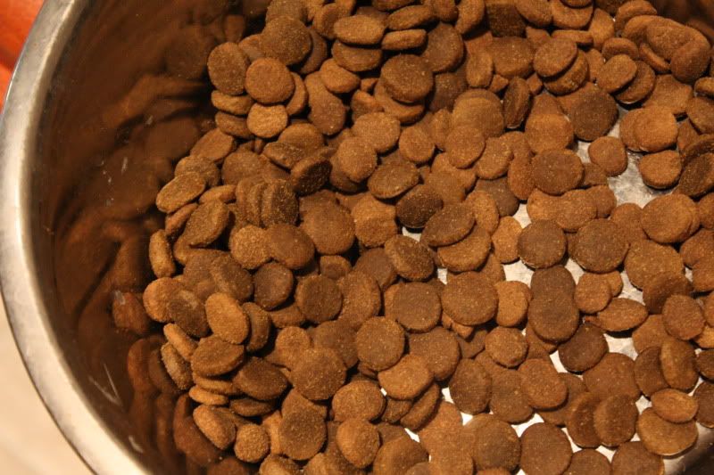 What does Acana kibble look like?