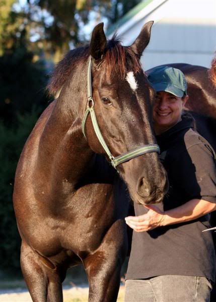 IMAGE: http://i76.photobucket.com/albums/j23/shortwave5/10-01-05039crp5x7Medium.jpg