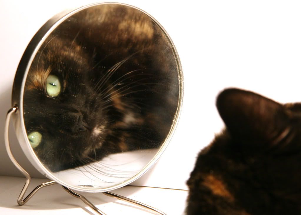 IMAGE: http://i76.photobucket.com/albums/j23/shortwave5/2-4-050525x7.jpg