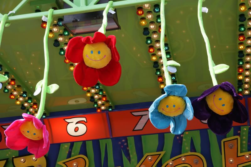 IMAGE: http://i76.photobucket.com/albums/j23/shortwave5/Fair07118crp8x12.jpg