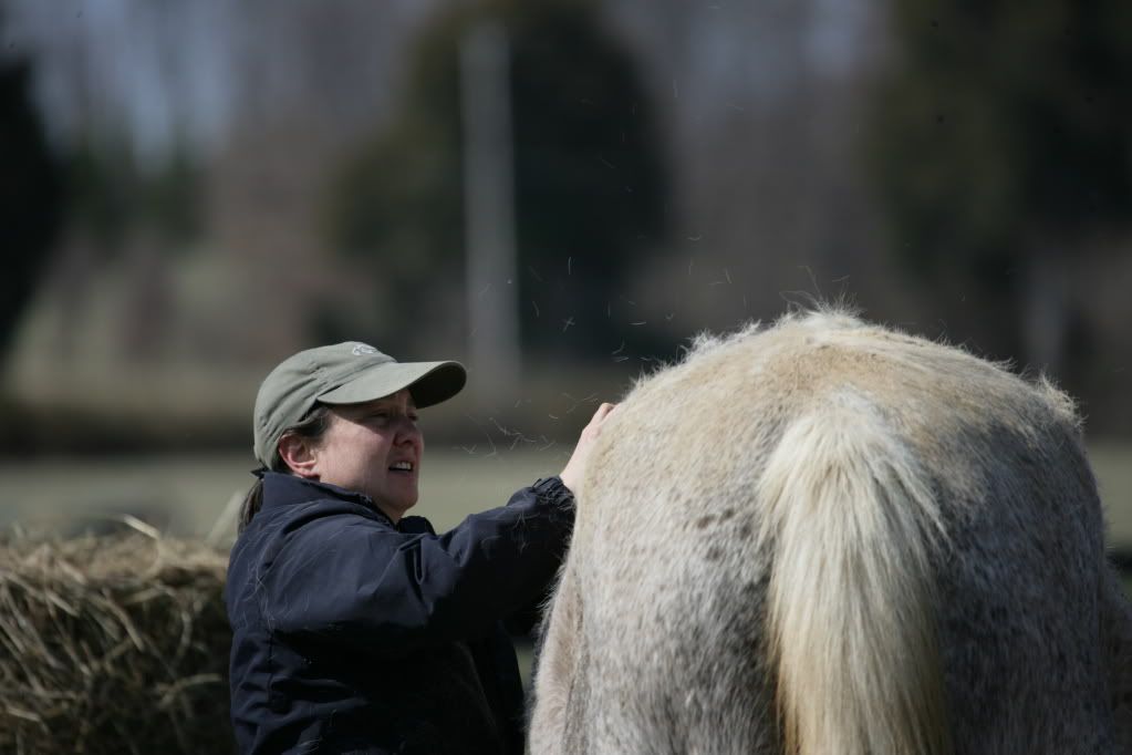 IMAGE: http://i76.photobucket.com/albums/j23/shortwave5/Horses043.jpg