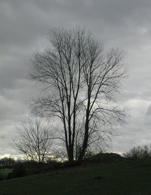 IMAGE: http://i76.photobucket.com/albums/j23/shortwave5/IMG_0839crp640.jpg